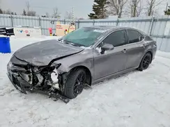 4T1G11AK7RU204507 2024 TOYOTA CAMRY
