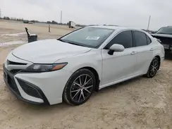 4T1G11AK7RU213207 2024 TOYOTA CAMRY