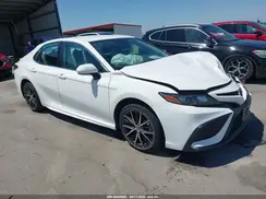 4T1G11AK7RU258504 2024 TOYOTA CAMRY