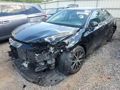4T1G11AK7RU841641 2024 TOYOTA CAMRY