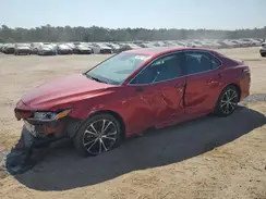 4T1G11AK8LU320516 2020 TOYOTA CAMRY