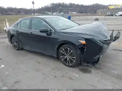 4T1G11AK8LU395927 2020 TOYOTA CAMRY