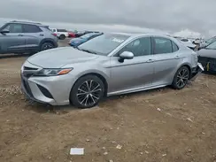 4T1G11AK8LU869925 2020 TOYOTA CAMRY