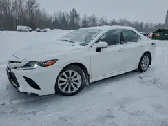 4T1G11AK8LU888877 2020 TOYOTA CAMRY