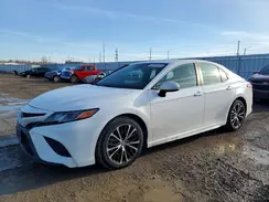 4T1G11AK8LU954800 2020 TOYOTA CAMRY