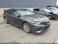 4T1G11AK8LU977946 2020 TOYOTA CAMRY