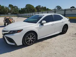4T1G11AK8MU406426 2021 TOYOTA CAMRY