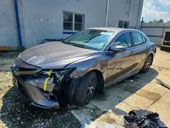 4T1G11AK8PU080731 2023 TOYOTA CAMRY
