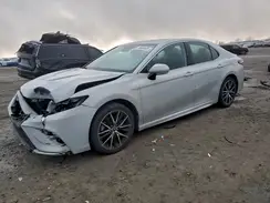 4T1G11AK8PU105093 2023 TOYOTA CAMRY