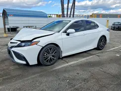 4T1G11AK8PU150258 2023 TOYOTA CAMRY