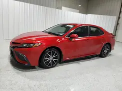 4T1G11AK8PU183227 2023 TOYOTA CAMRY