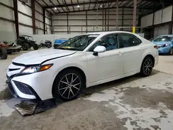 4T1G11AK8PU736118 2023 TOYOTA CAMRY