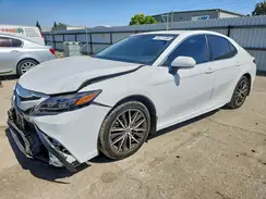 4T1G11AK8PU738189 2023 TOYOTA CAMRY