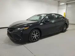 4T1G11AK8RU237032 2024 TOYOTA CAMRY