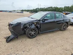 4T1G11AK8RU842300 2024 TOYOTA CAMRY