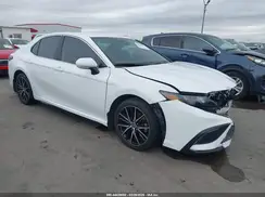 4T1G11AK8RU856150 2024 TOYOTA CAMRY