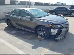 4T1G11AK8RU872493 2024 TOYOTA CAMRY