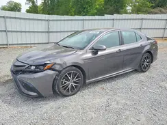 4T1G11AK8RU901040 2024 TOYOTA CAMRY