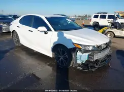 4T1G11AK9LU330259 2020 TOYOTA CAMRY