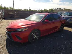 4T1G11AK9LU351872 2020 TOYOTA CAMRY