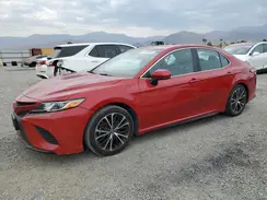 4T1G11AK9LU368381 2020 TOYOTA CAMRY
