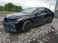4T1G11AK9MU443601 2021 TOYOTA CAMRY