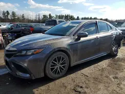 4T1G11AK9MU557176 2021 TOYOTA CAMRY
