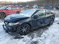 4T1G11AK9MU559560 2021 TOYOTA CAMRY