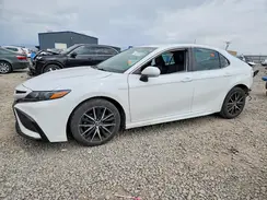 4T1G11AK9PU096520 2023 TOYOTA CAMRY
