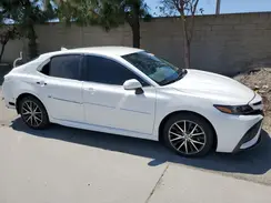 4T1G11AK9PU181891 2023 TOYOTA CAMRY