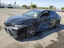 4T1G11AK9PU804099 2023 TOYOTA CAMRY