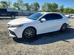 4T1G11AK9PU815815 2023 TOYOTA CAMRY