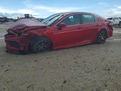 4T1G11AK9RU216769 2024 TOYOTA CAMRY