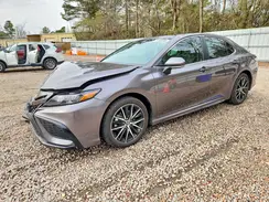 4T1G11AK9RU907560 2024 TOYOTA CAMRY