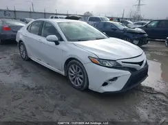 4T1G11AKXLU381480 2020 TOYOTA CAMRY