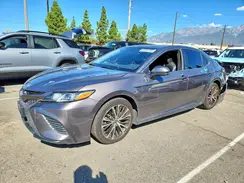 4T1G11AKXLU509569 2020 TOYOTA CAMRY