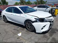 4T1G11AKXLU908403 2020 TOYOTA CAMRY
