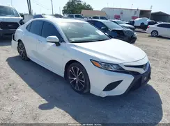 4T1G11AKXLU935892 2020 TOYOTA CAMRY