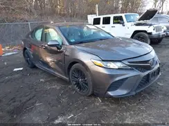 4T1G11AKXLU940462 2020 TOYOTA CAMRY