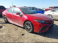 4T1G11AKXMU426533 2021 TOYOTA CAMRY