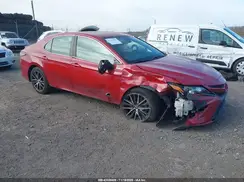 4T1G11AKXMU429867 2021 TOYOTA CAMRY