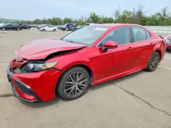 4T1G11AKXMU443459 2021 TOYOTA CAMRY