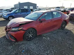 4T1G11AKXMU455658 2021 TOYOTA CAMRY
