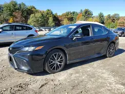 4T1G11AKXMU458916 2021 TOYOTA CAMRY