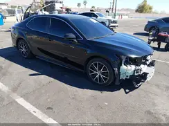 4T1G11AKXMU521531 2021 TOYOTA CAMRY