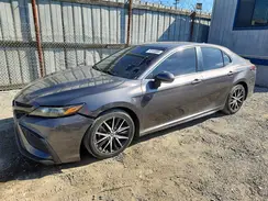 4T1G11AKXNU043564 2022 TOYOTA CAMRY