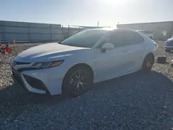 4T1G11AKXPU123773 2023 TOYOTA CAMRY