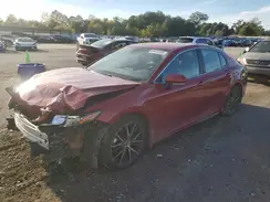 4T1G11AKXPU166669 2023 TOYOTA CAMRY