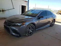 4T1G11AKXPU167093 2023 TOYOTA CAMRY