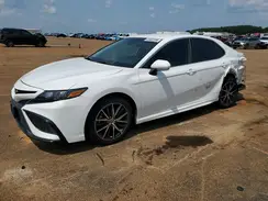 4T1G11AKXPU735438 2023 TOYOTA CAMRY
